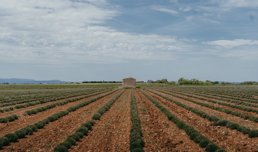 El Ejido cityscape in Andalusia, Spain - showing historic architecture and local landmarks